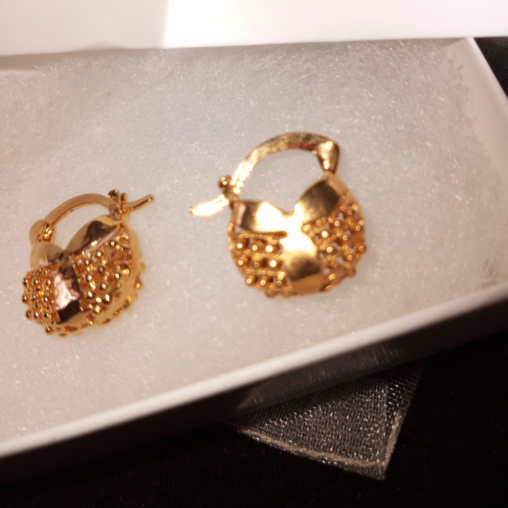 Handbags Leverback Earrings New 🎈🏷